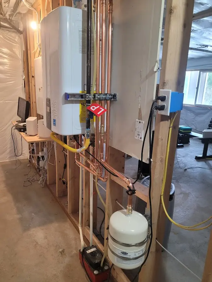 Licensed plumber repairing a kitchen sink in Arbutus